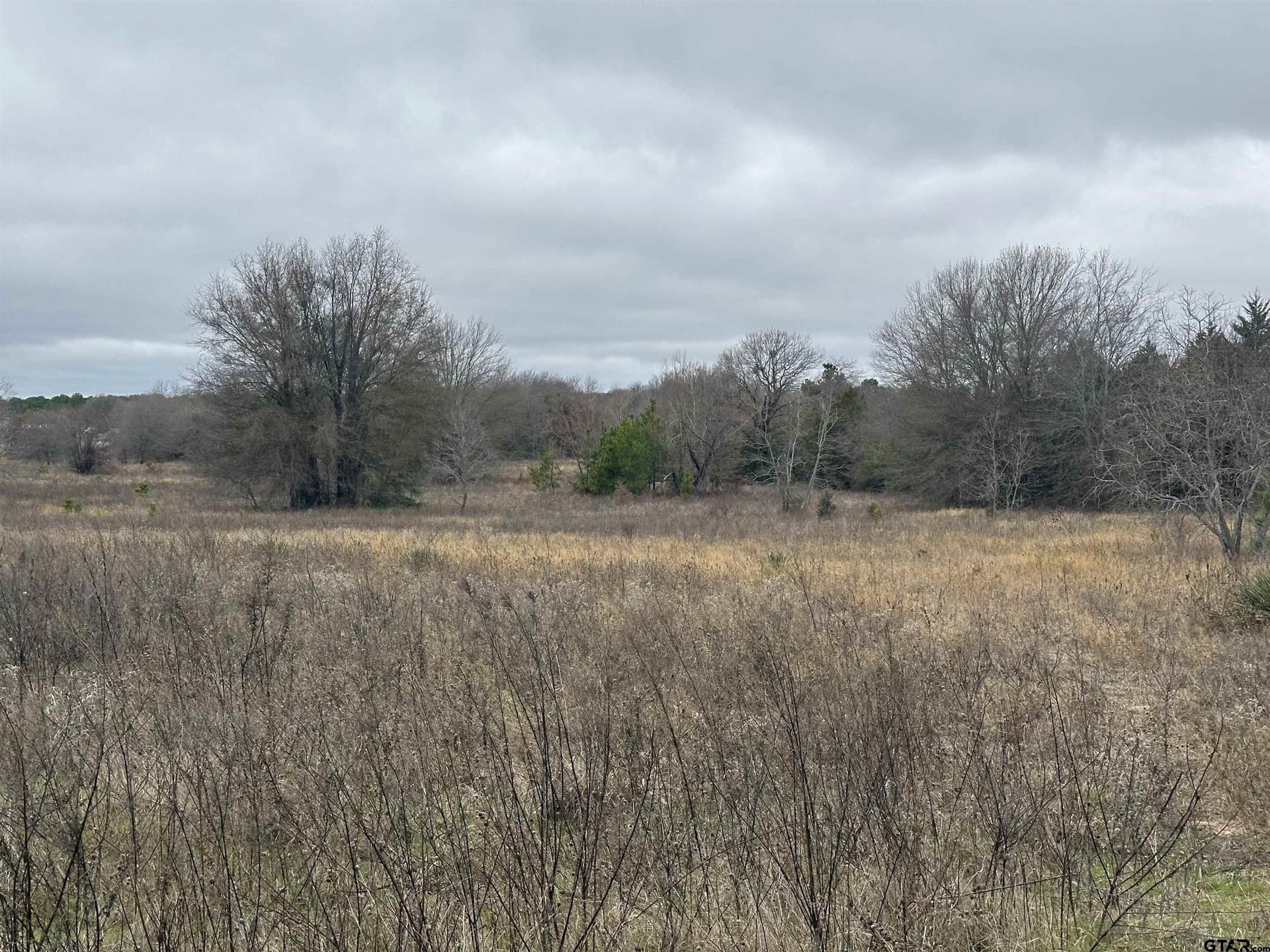 19.95 acres in Smith County - photo 14