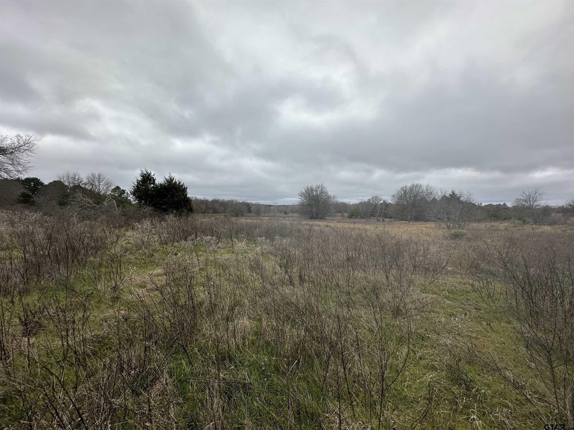 19.95 acres in Smith County - photo 12
