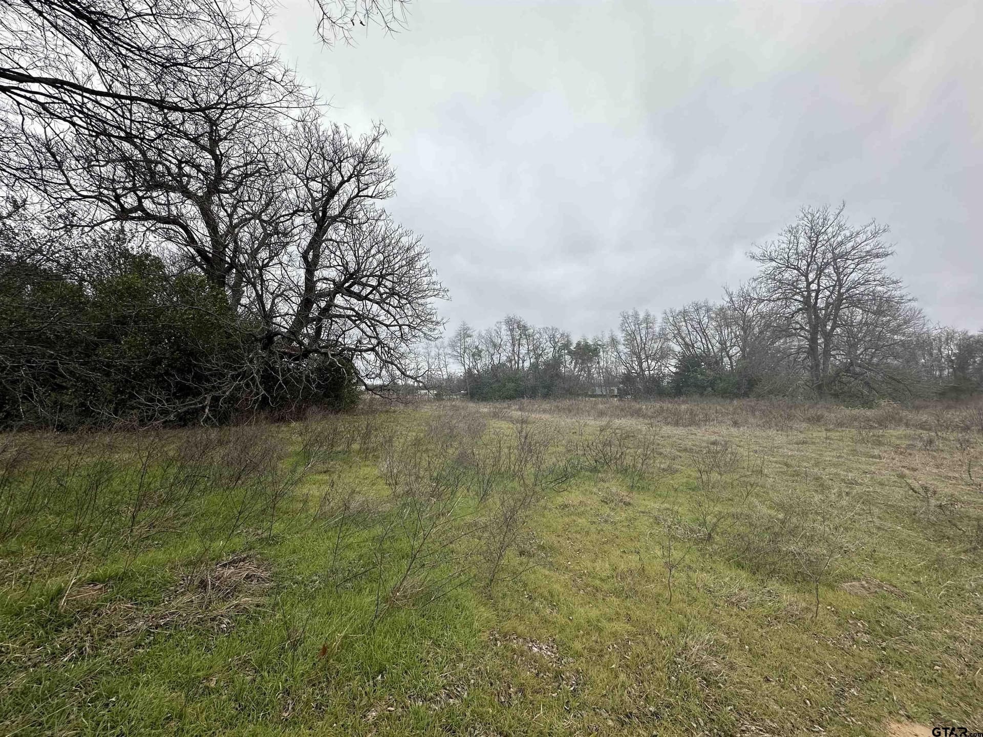 19.95 acres in Smith County - photo 11