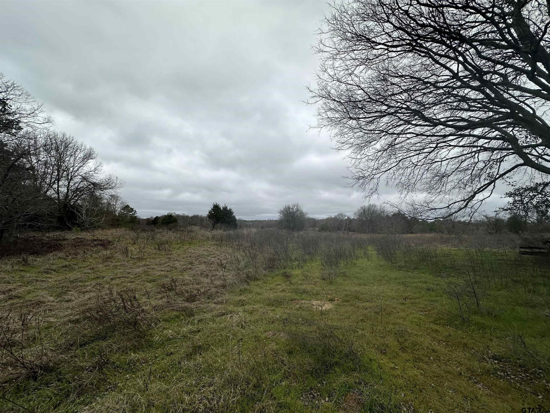 19.95 acres in Smith County - photo 7