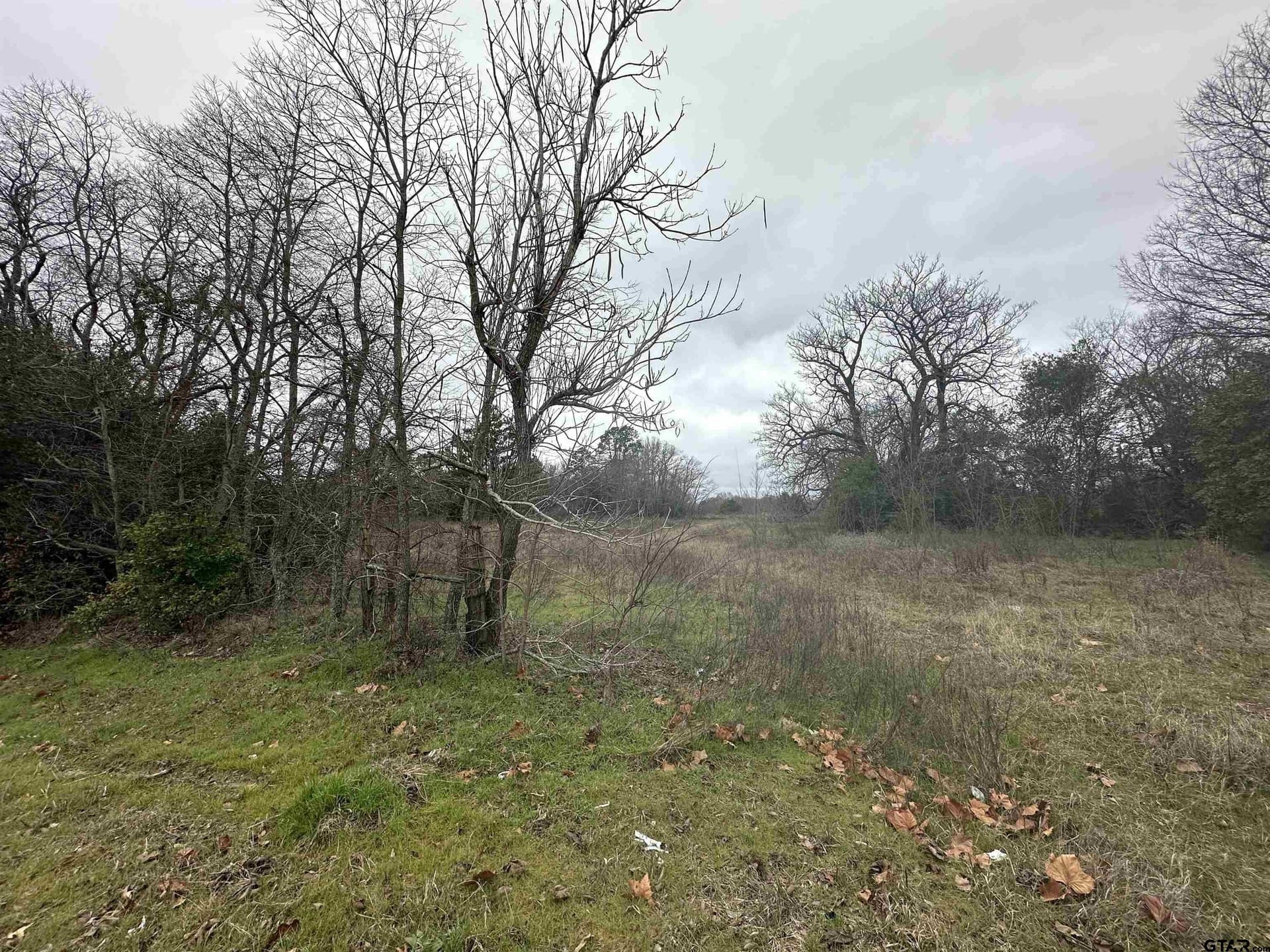 19.95 acres in Smith County - photo 5