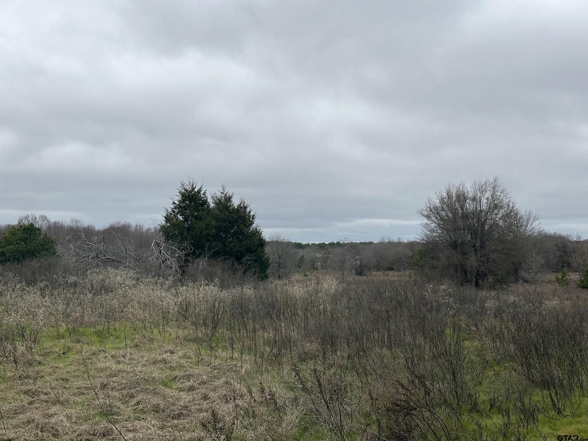19.95 acres in Smith County - photo 8