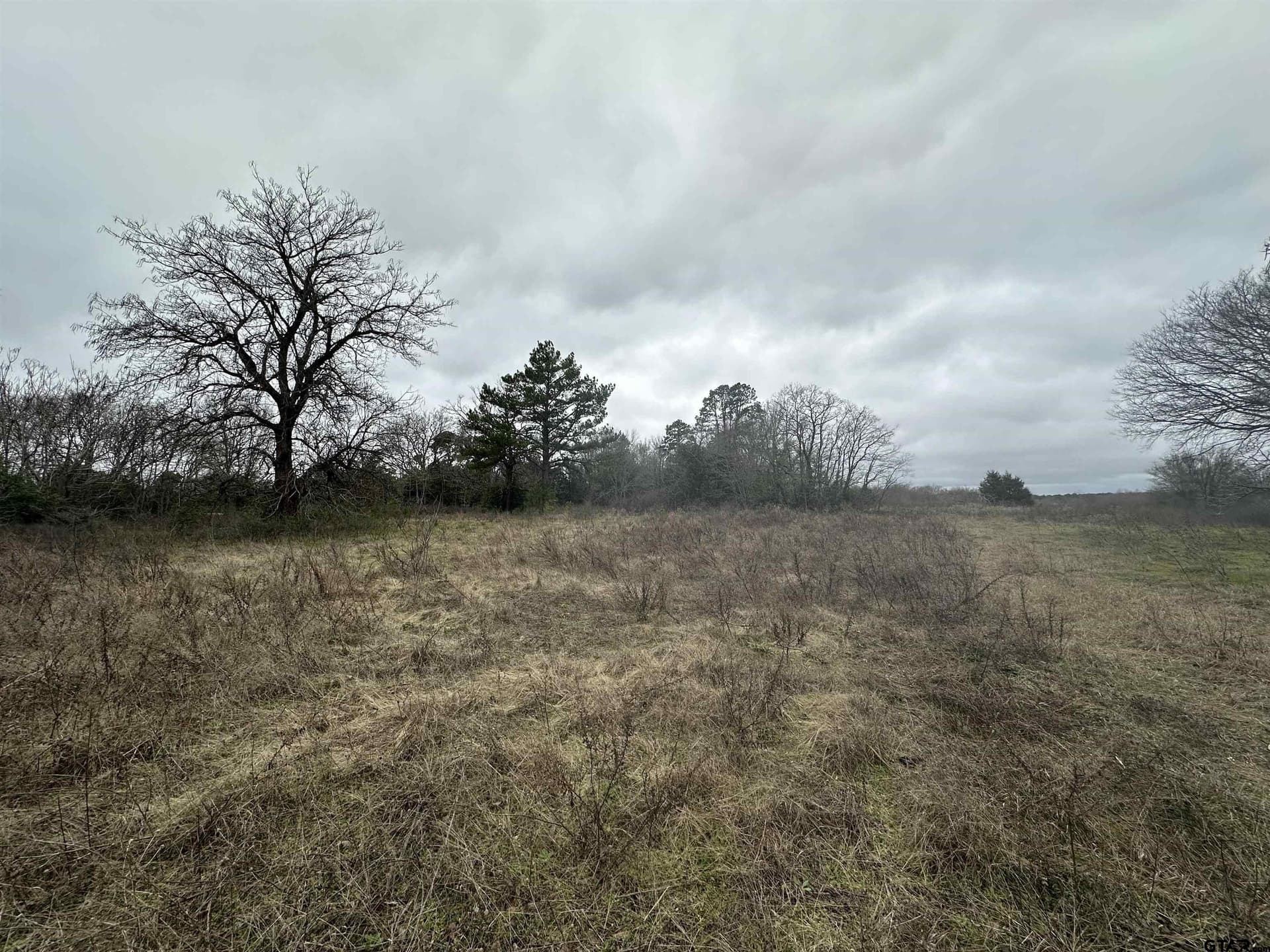 19.95 acres in Smith County - photo 6