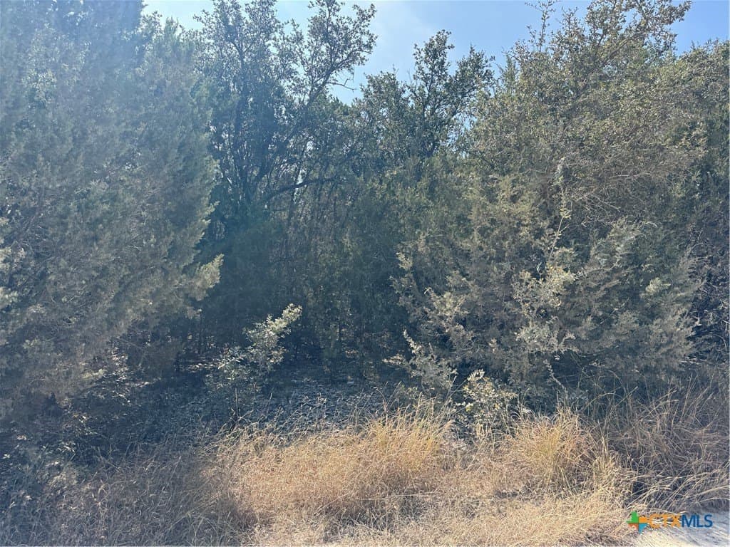 12 acres in Burnet County - photo 5