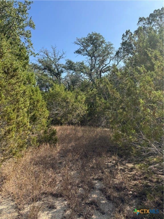 12 acres in Burnet County - photo 13