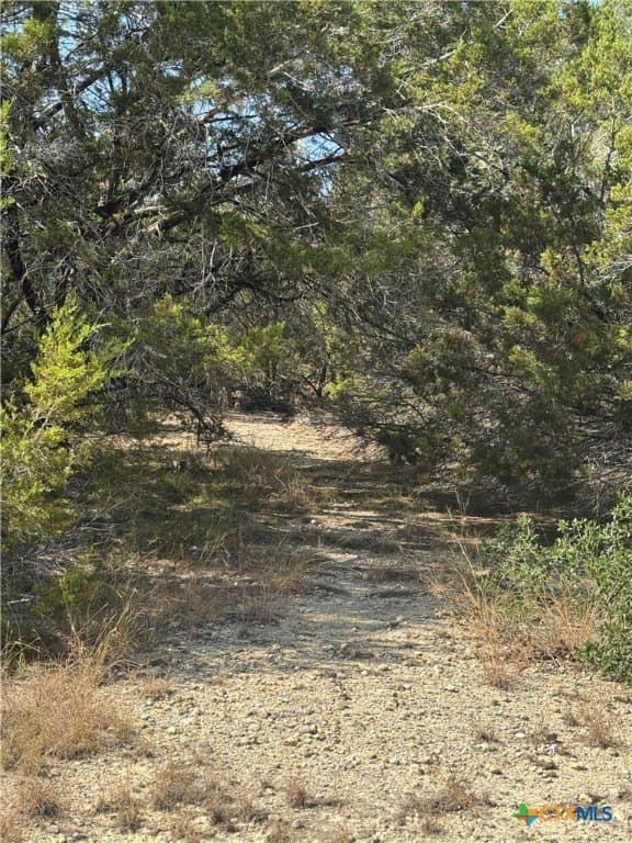 12 acres in Burnet County - photo 10