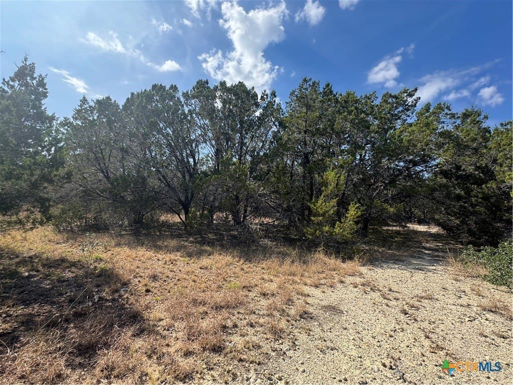 12 acres in Burnet County - photo 12