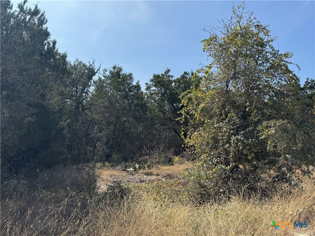 12 acres in Burnet County - photo 8