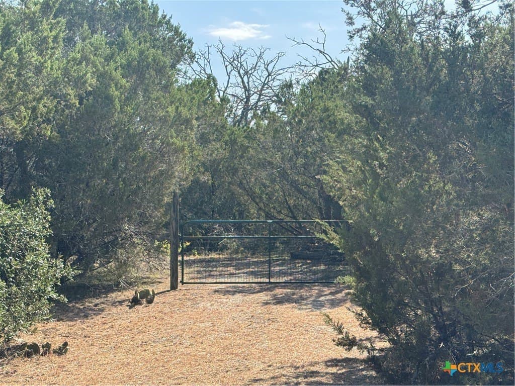12 acres in Burnet County - photo 2