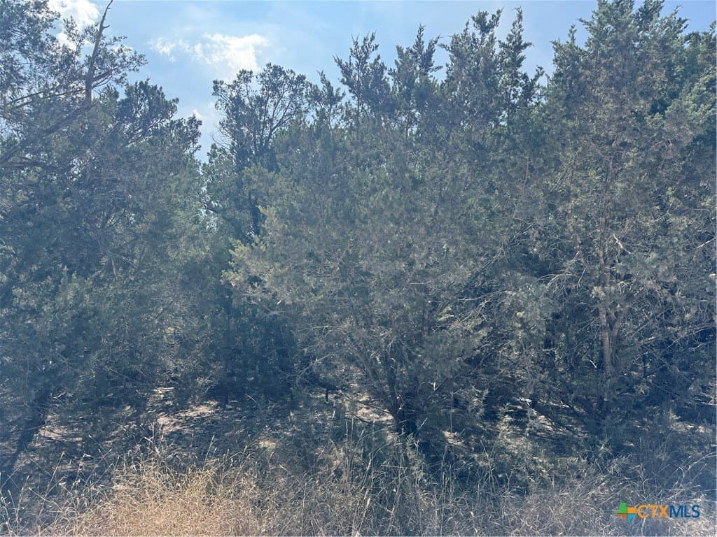 12 acres in Burnet County - photo 6