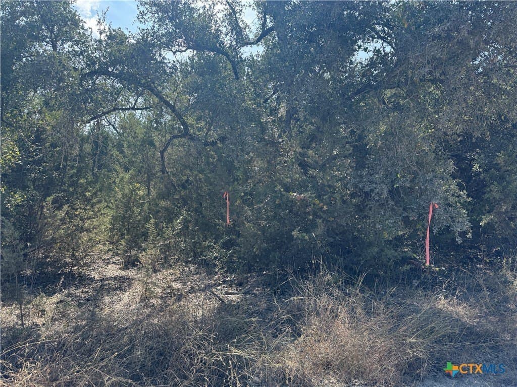 12 acres in Burnet County - photo 9