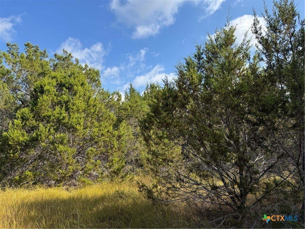 12 acres in Burnet County - photo 14