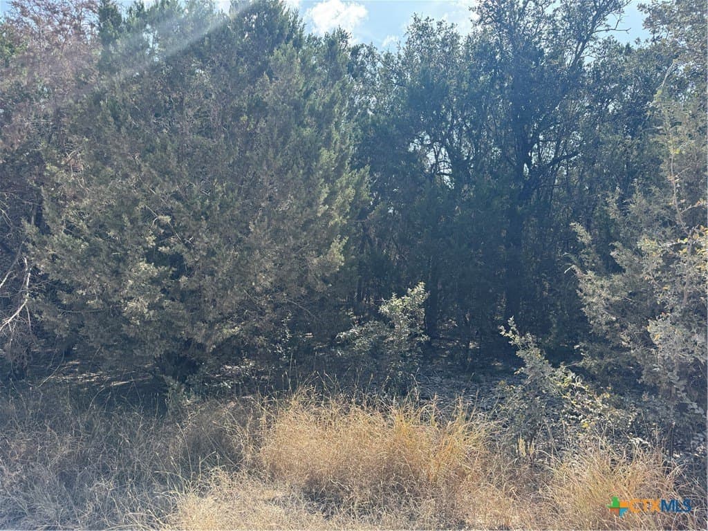 12 acres in Burnet County - photo 4