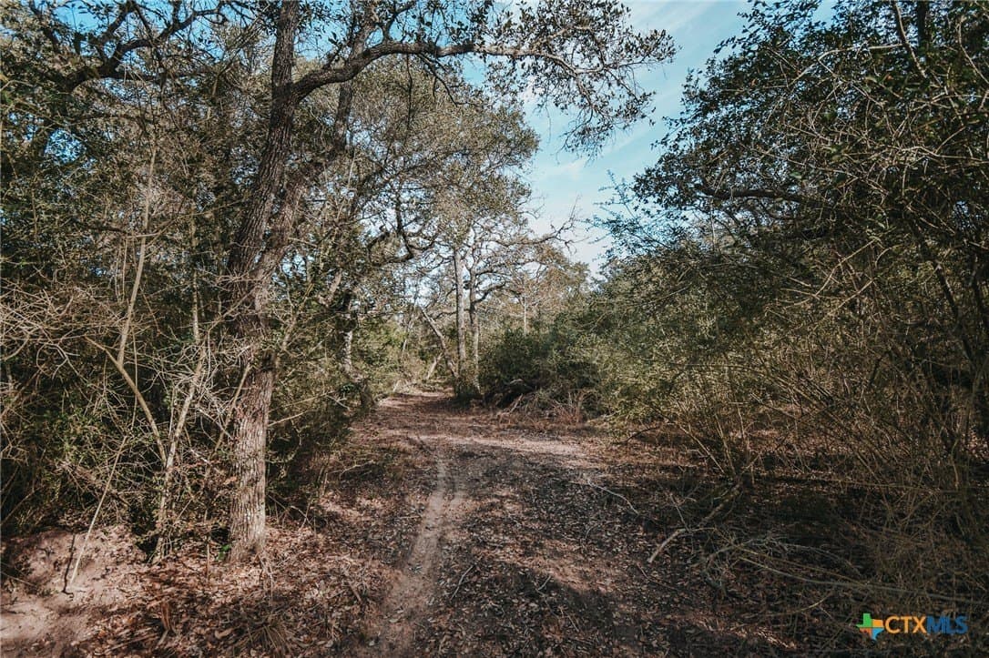 12.16 acres in Victoria County - photo 11