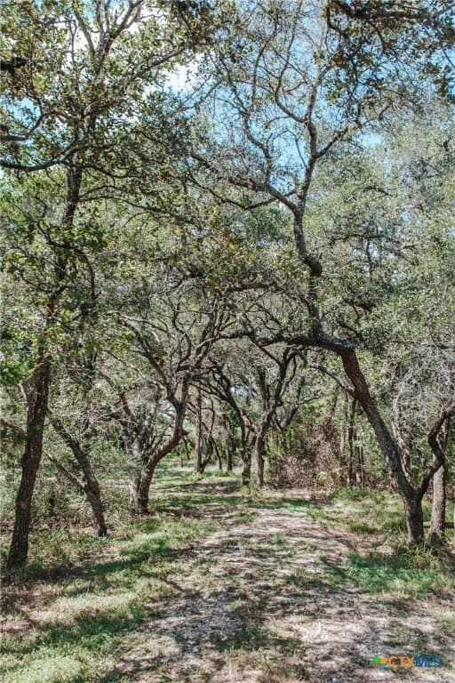 12.16 acres in Victoria County - photo 15