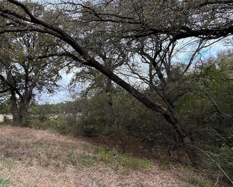 4 acres in Johnson County - photo 8