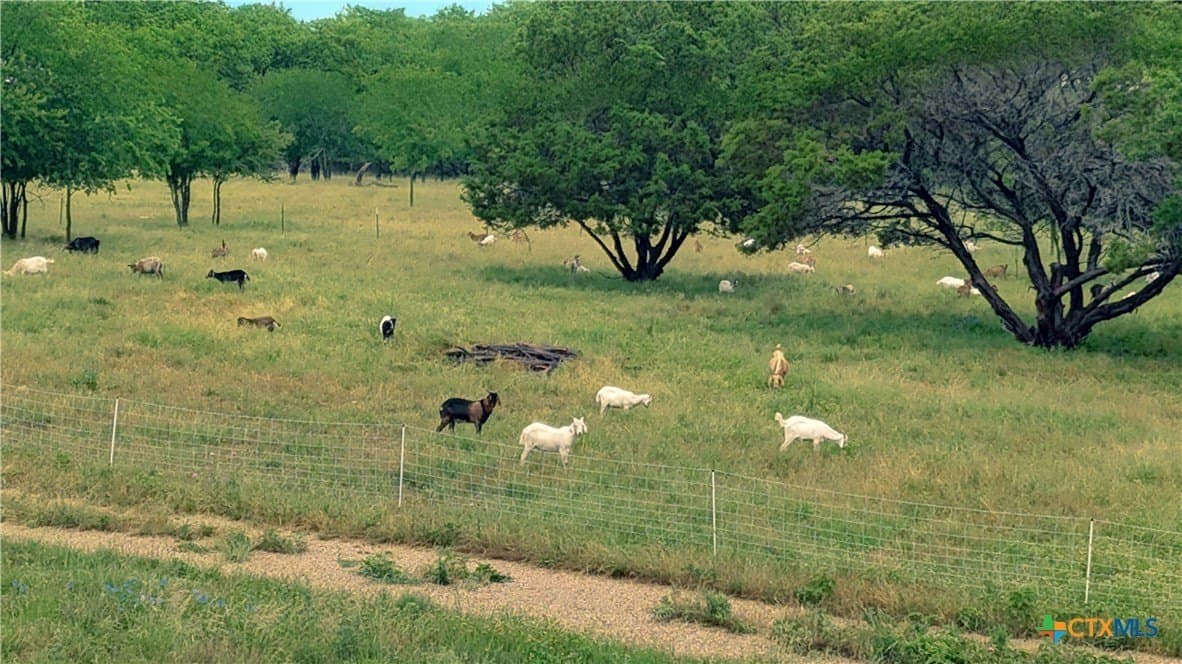 33.92 acres in Coryell County - photo 3