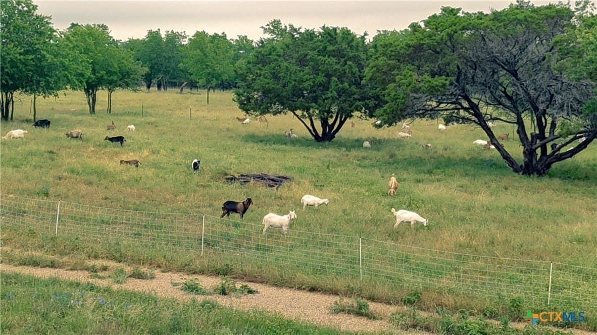 33.92 acres in Coryell County - photo 11
