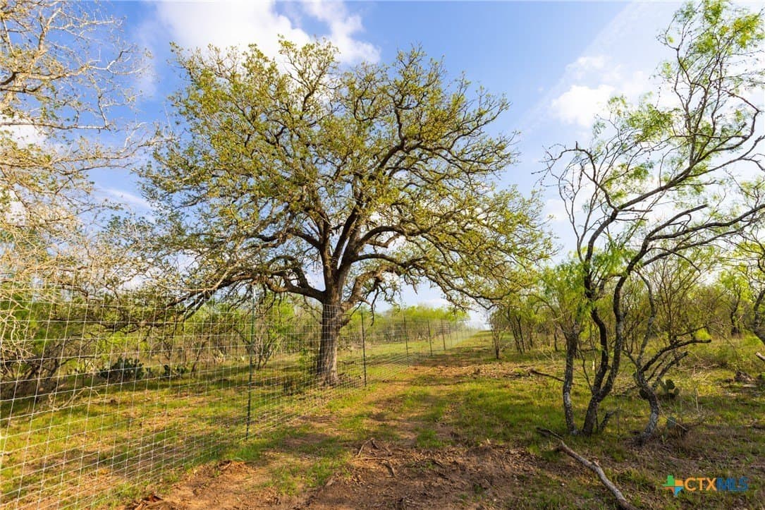 186.5 acres in Guadalupe County - photo 24