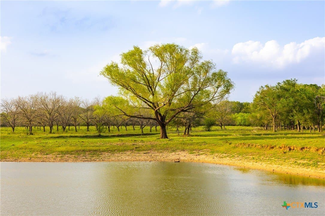186.5 acres in Guadalupe County - photo 33