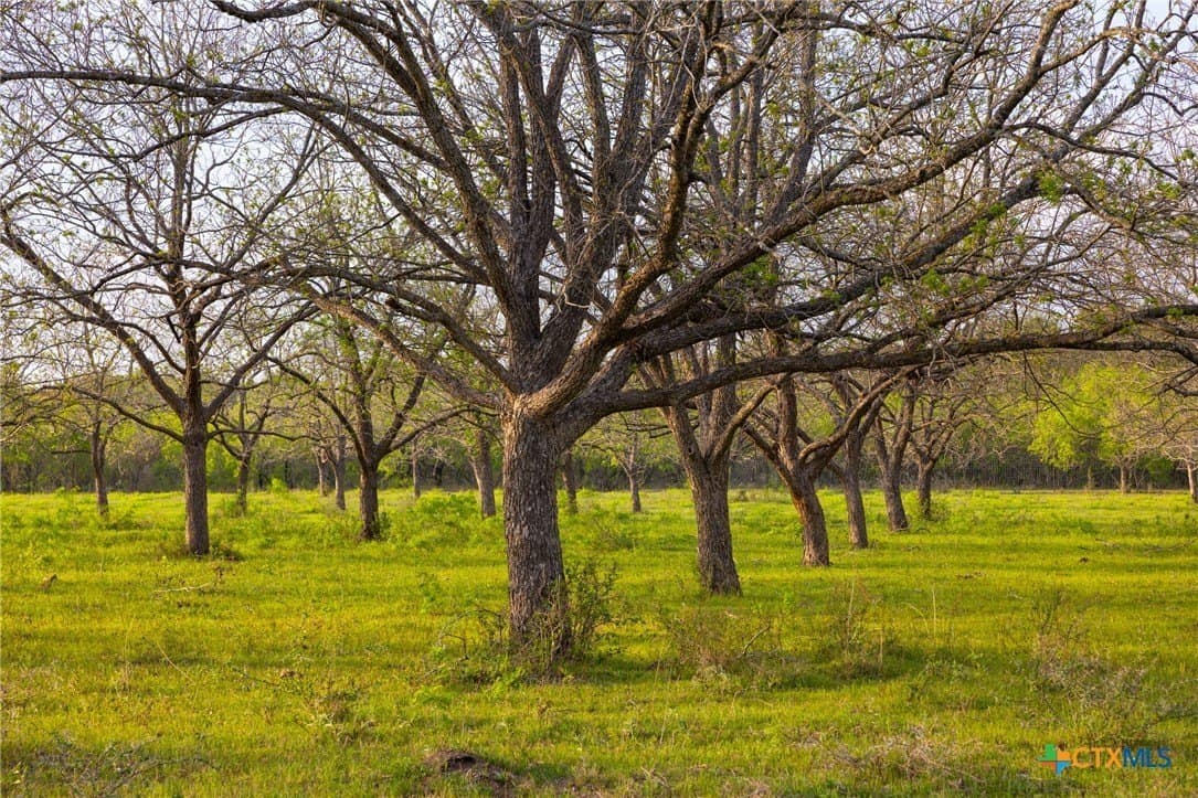 186.5 acres in Guadalupe County - photo 34