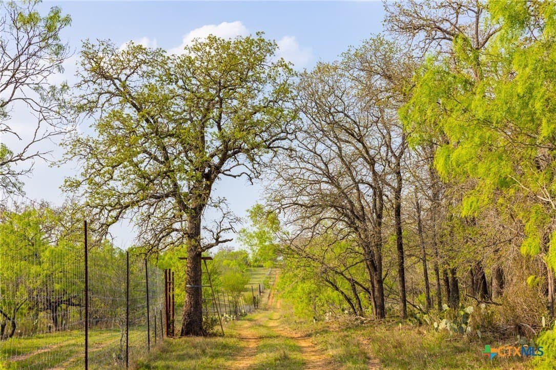 186.5 acres in Guadalupe County - photo 19