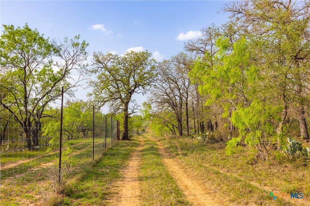 186.5 acres in Guadalupe County - photo 17