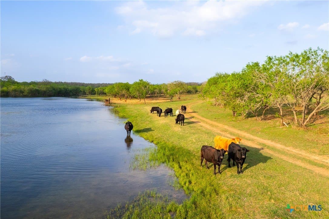 186.5 acres in Guadalupe County - photo 9