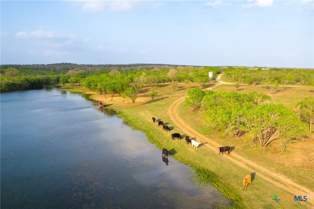 186.5 acres in Guadalupe County - photo 7