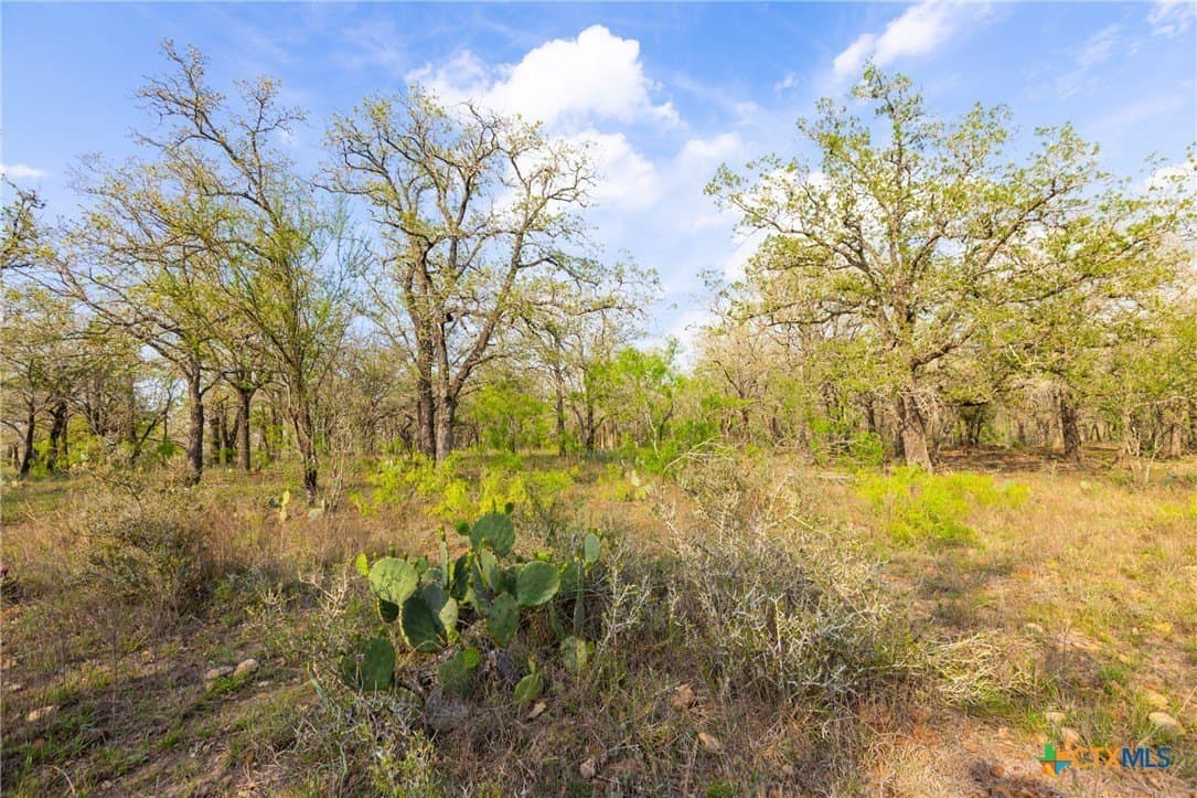 186.5 acres in Guadalupe County - photo 23