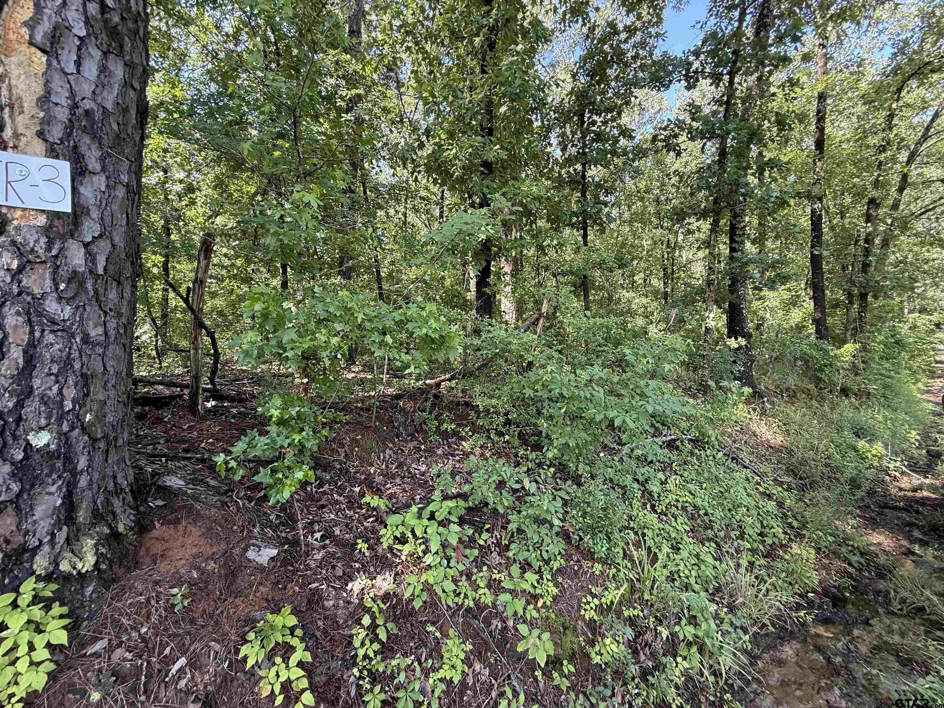 10 acres in Rusk County - photo 3
