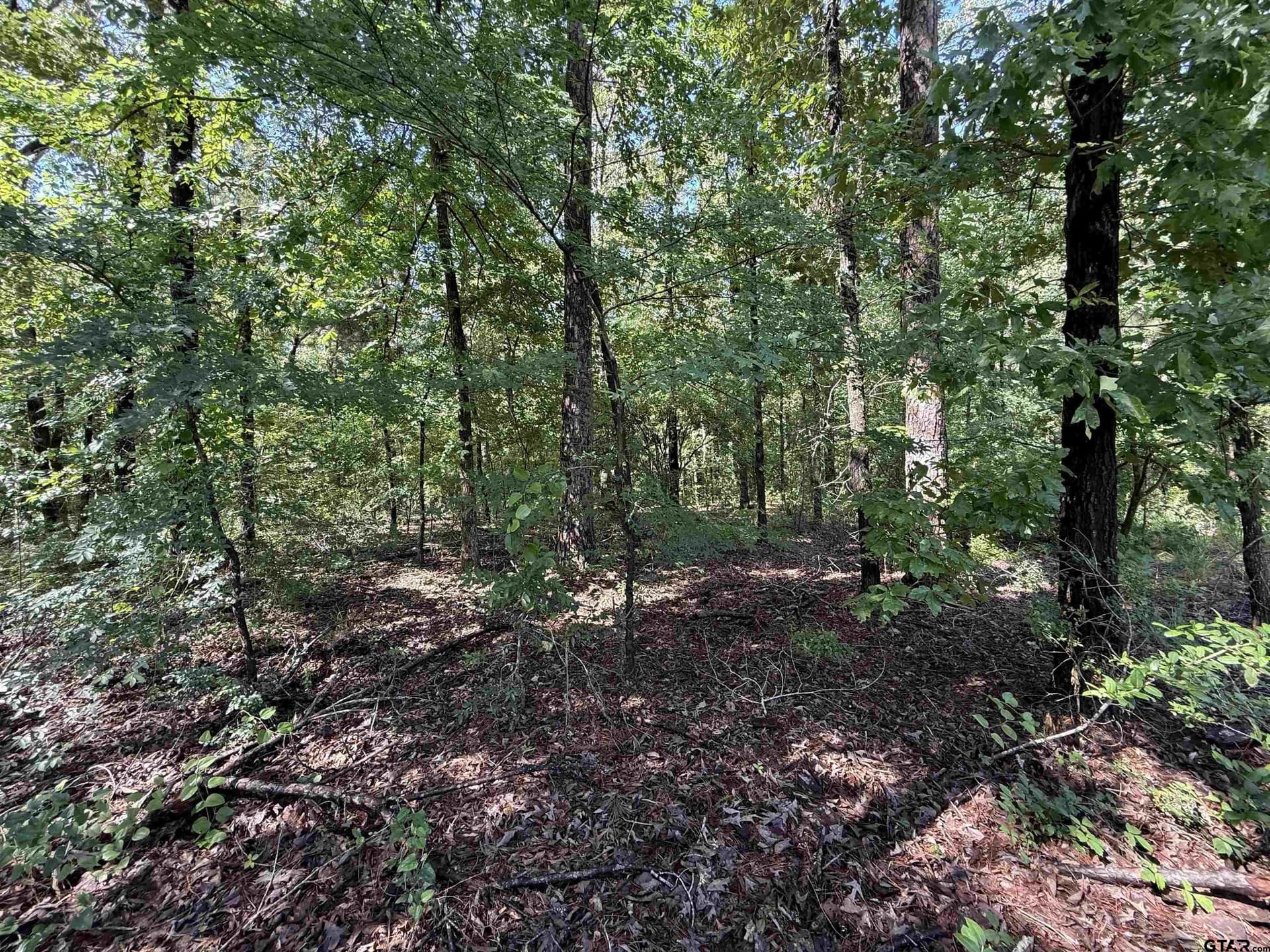 10 acres in Rusk County - photo 6