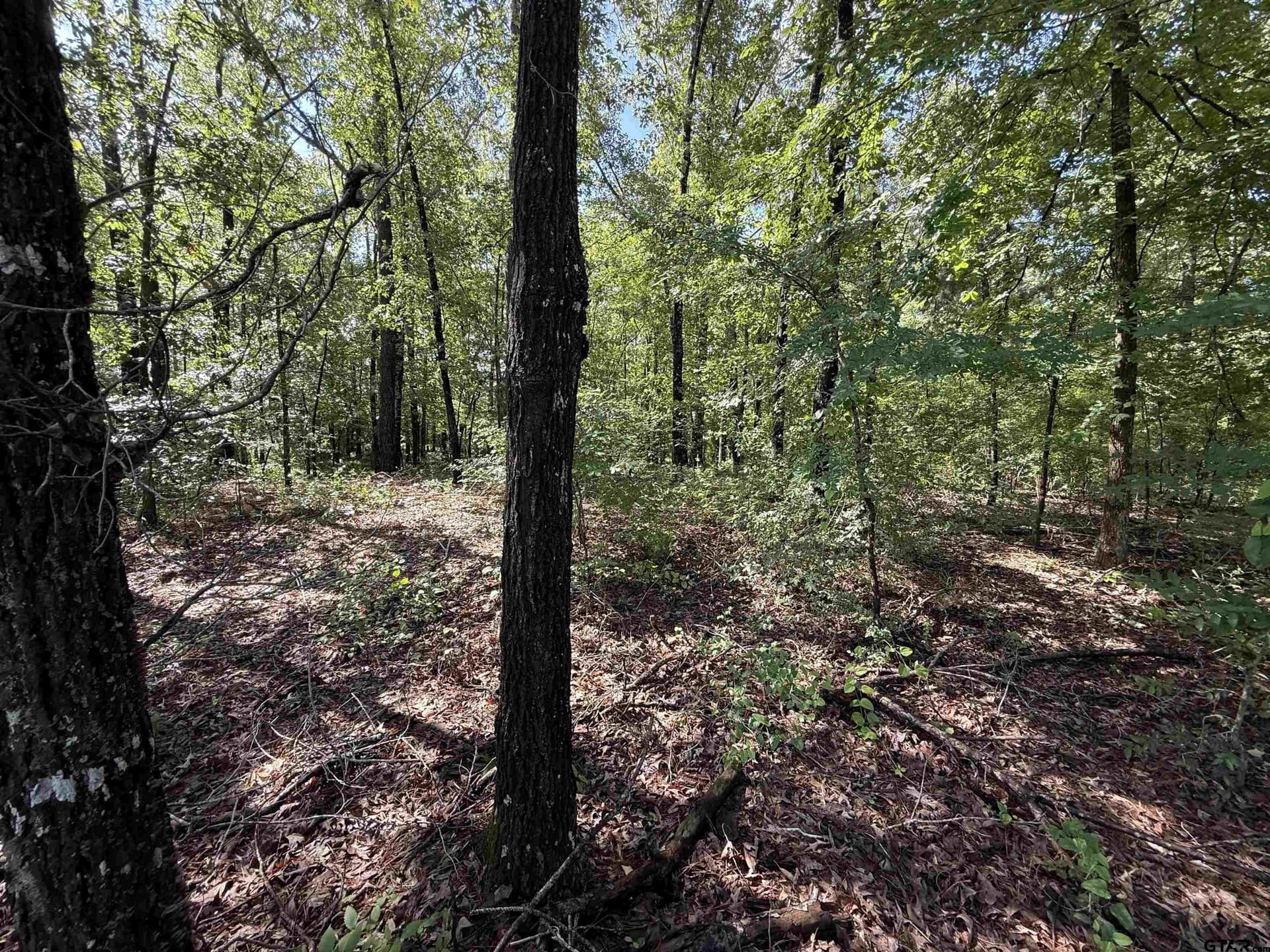 10 acres in Rusk County - photo 4