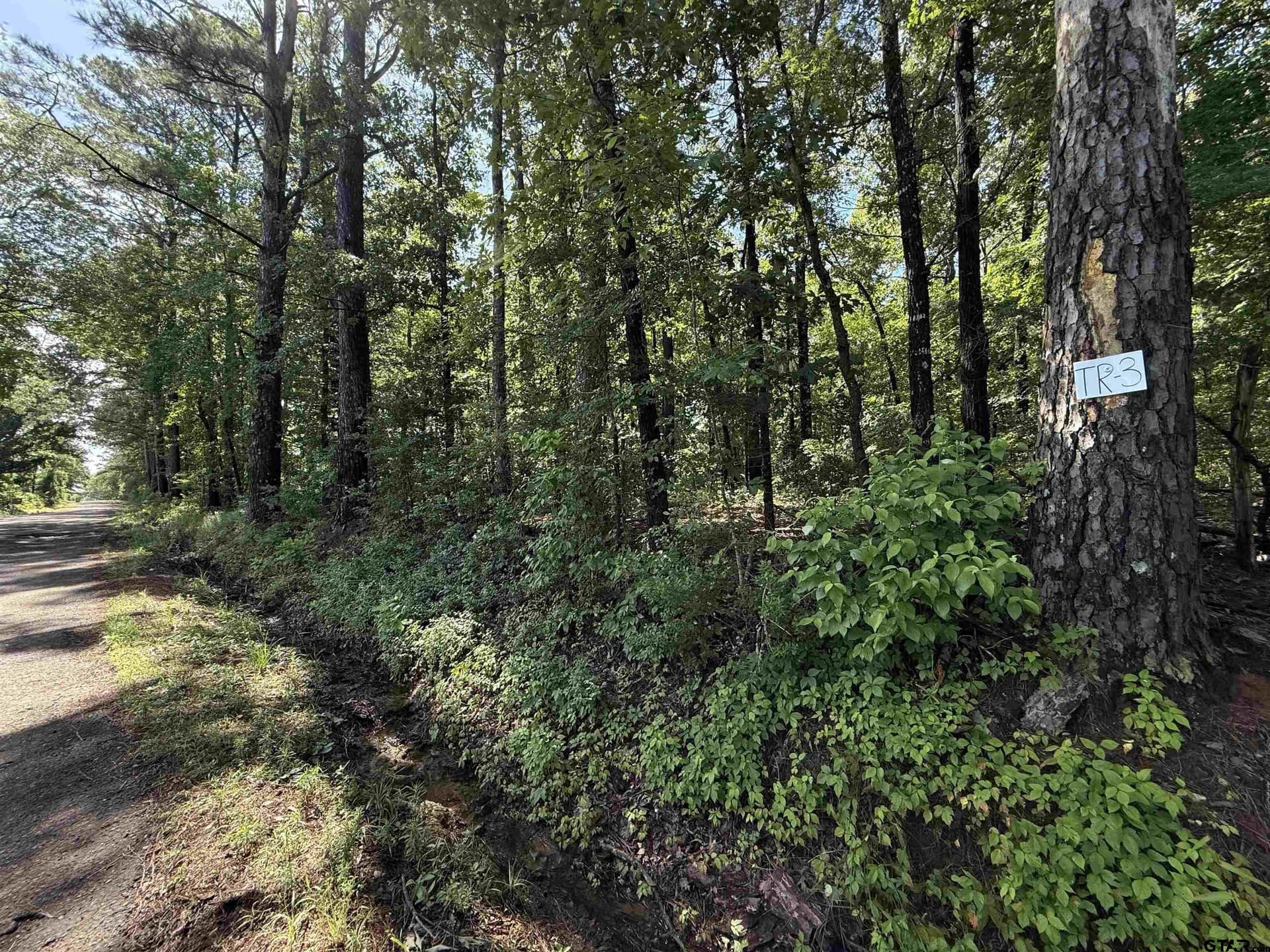 10 acres in Rusk County - photo 2