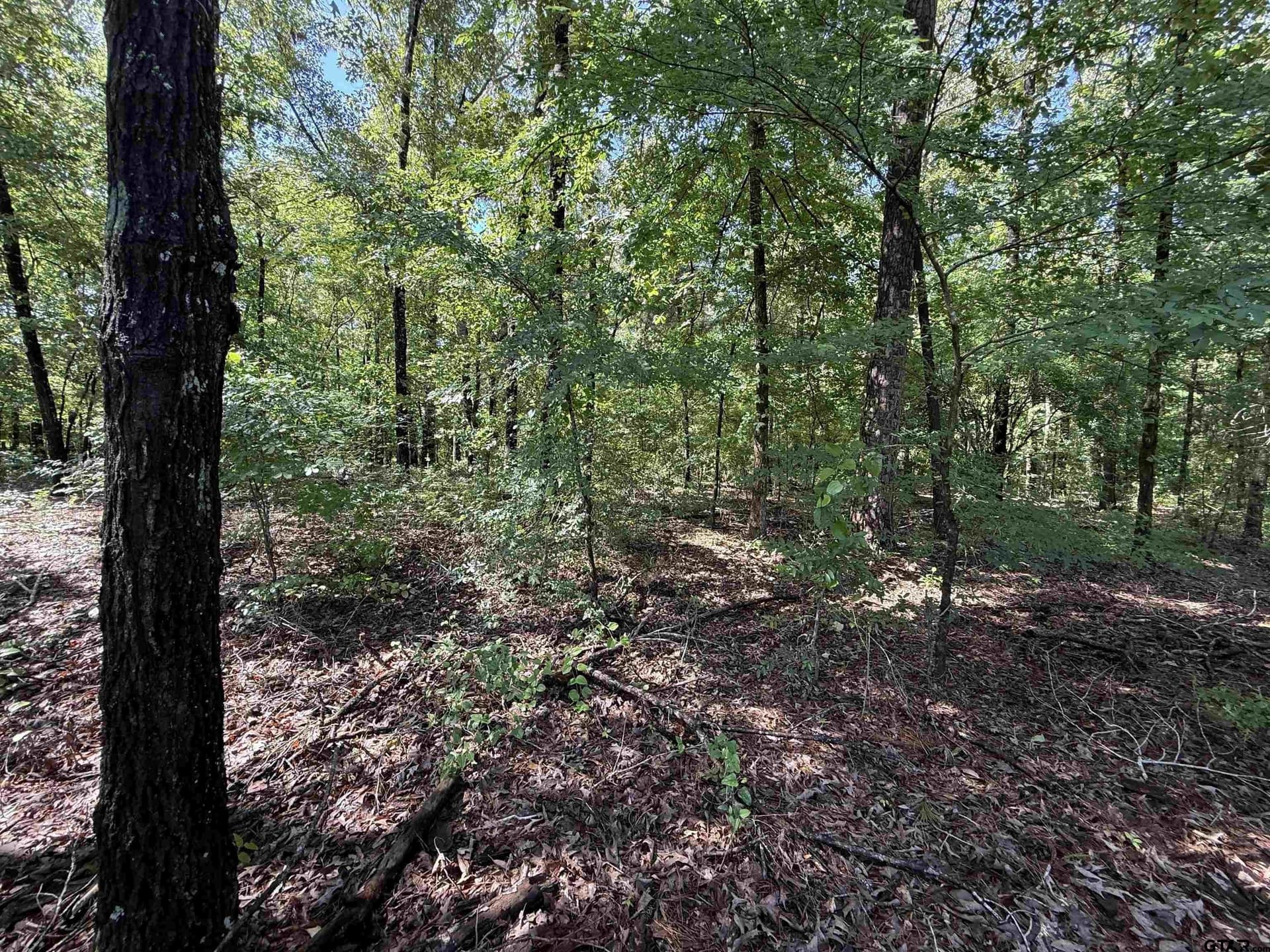 10 acres in Rusk County - photo 5