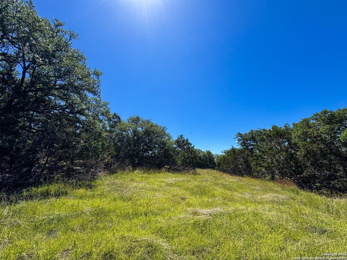 4.01 acres in Gillespie County - photo 10