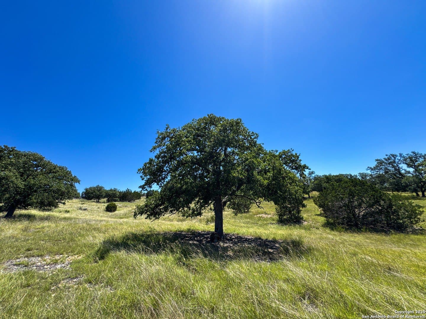 4.01 acres in Gillespie County - photo 17