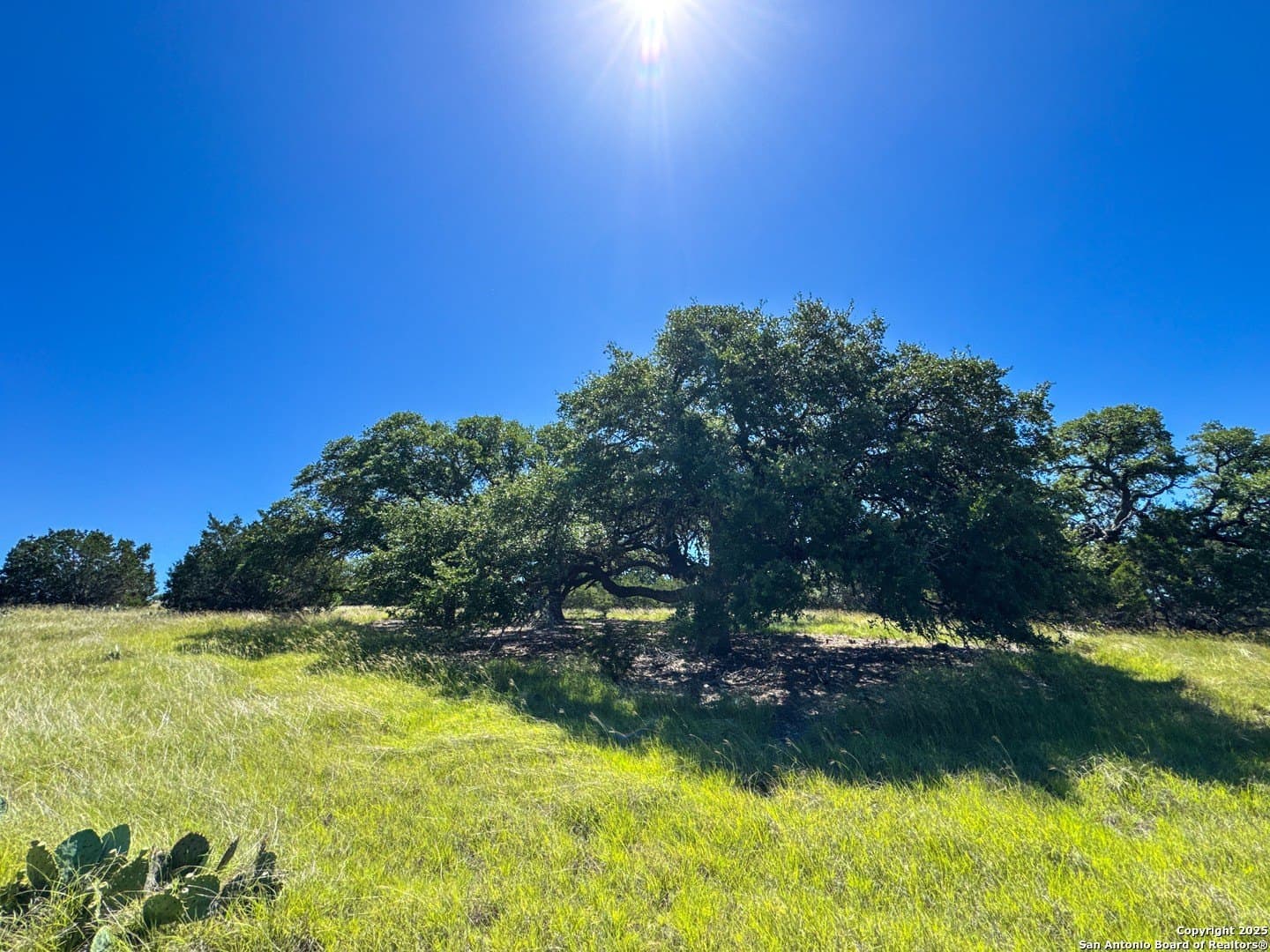 4.01 acres in Gillespie County - photo 7
