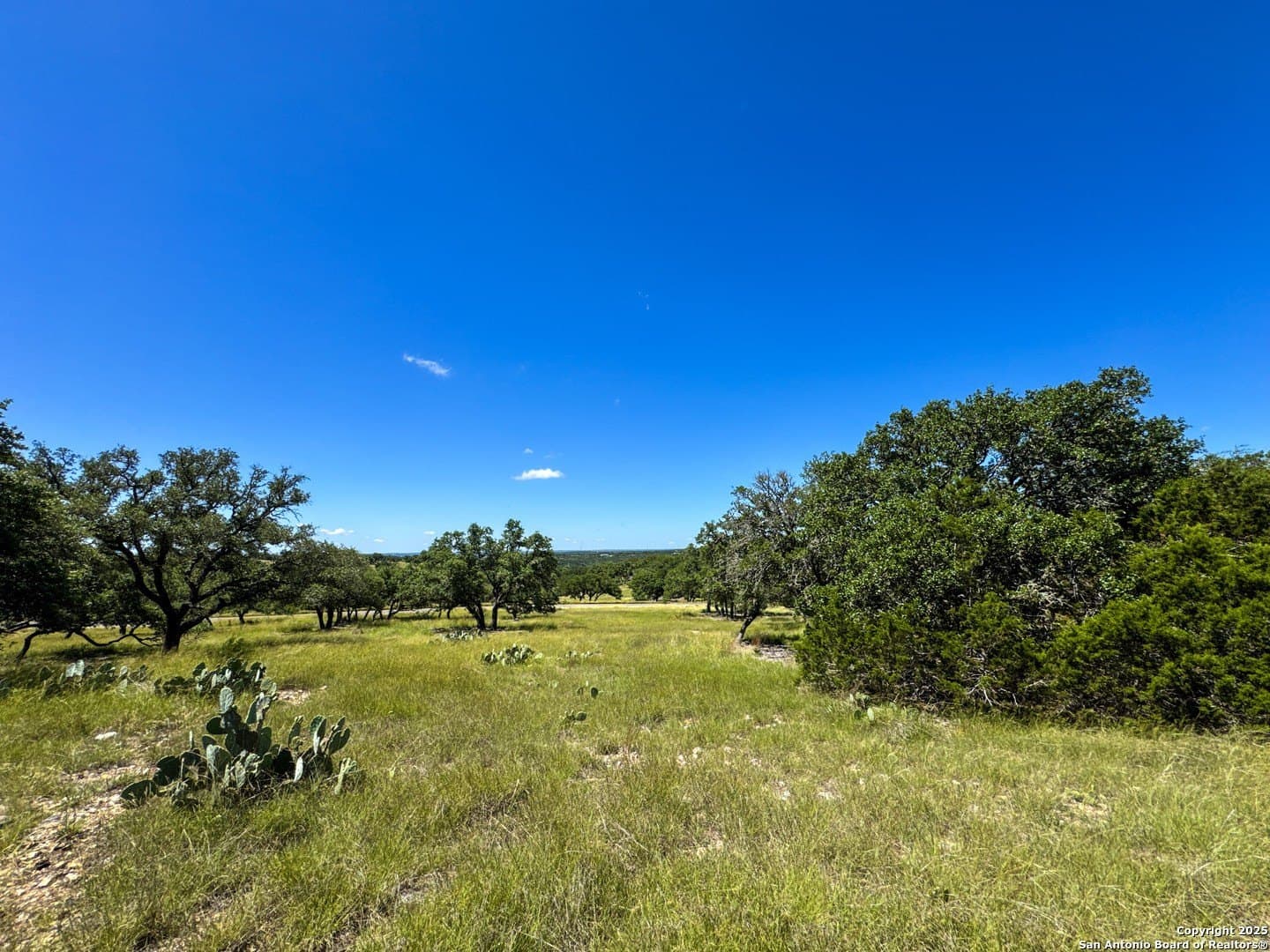 4.01 acres in Gillespie County - photo 13