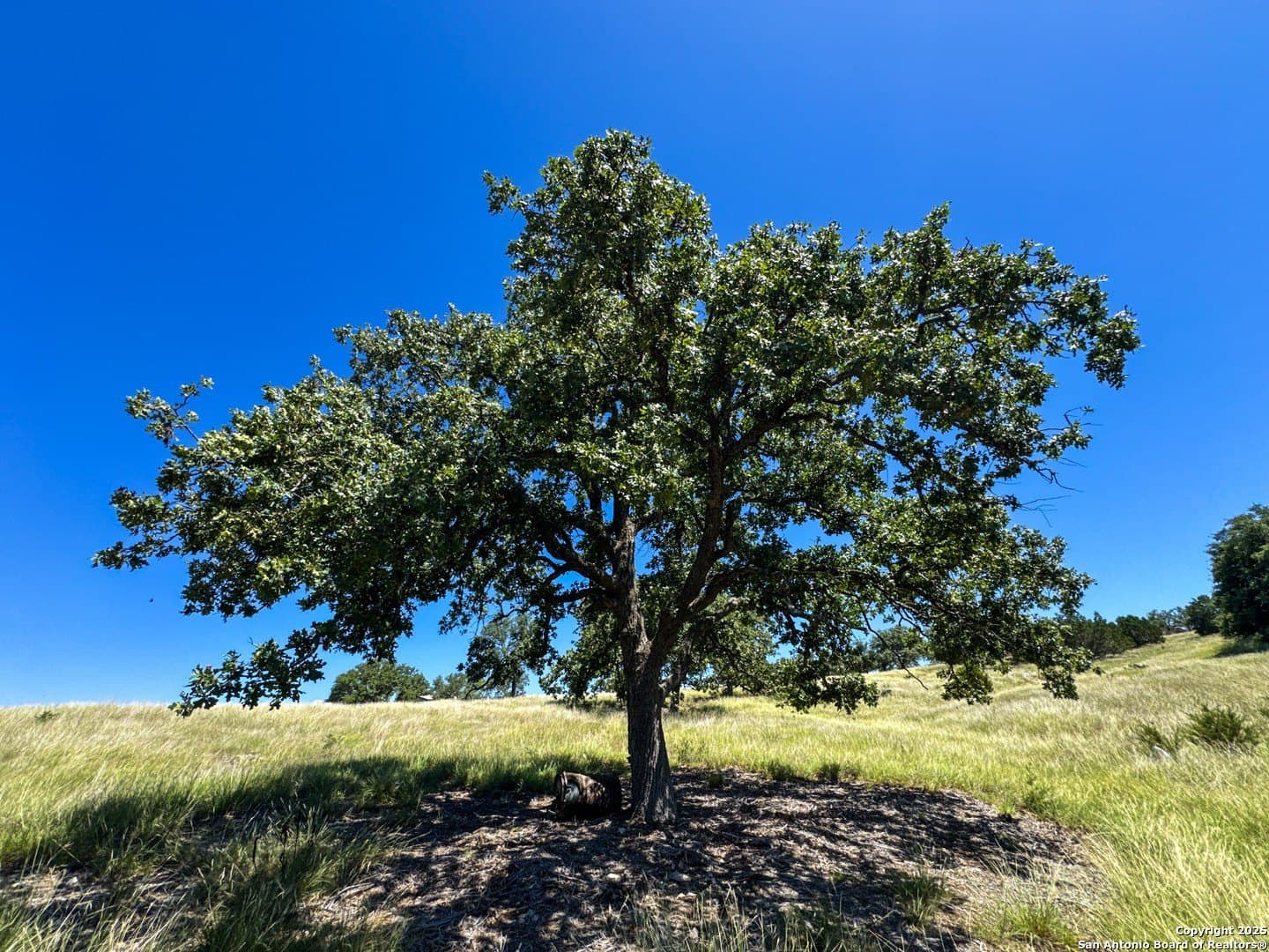 4.01 acres in Gillespie County - photo 15
