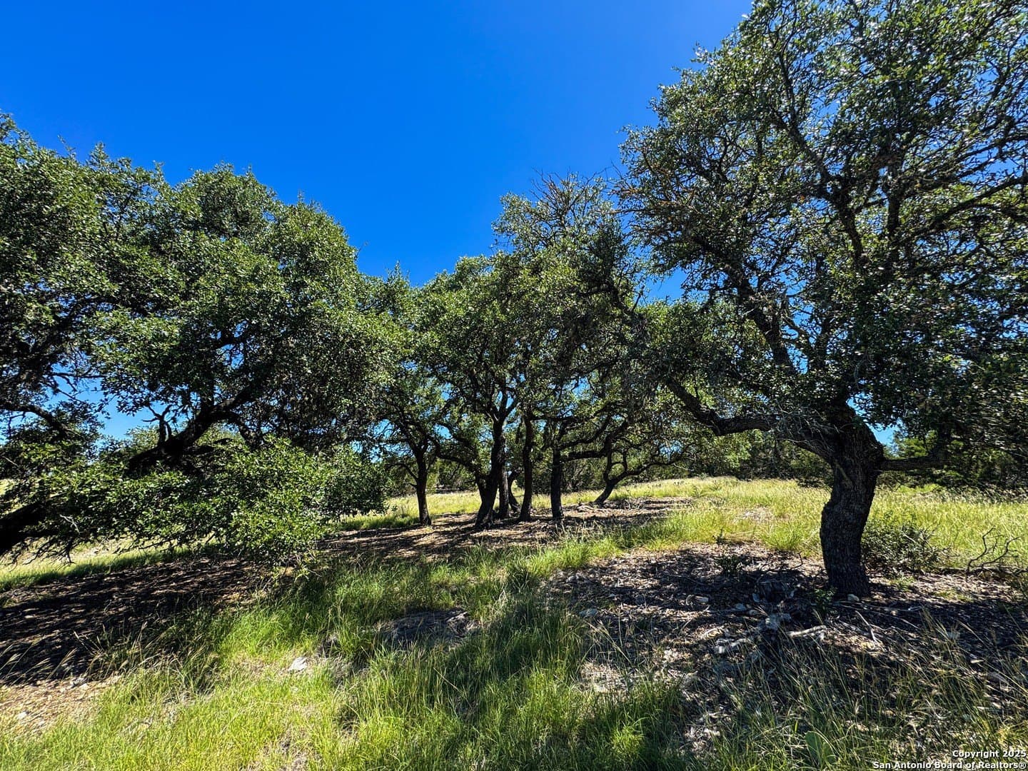 4.01 acres in Gillespie County - photo 5