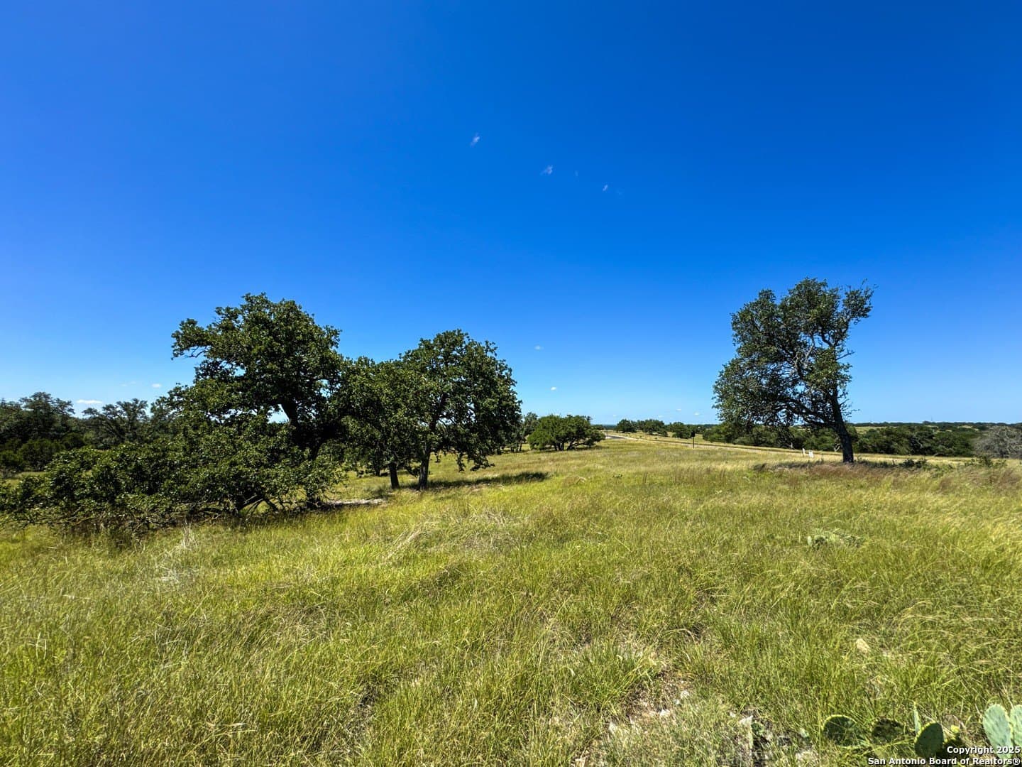 4.01 acres in Gillespie County - photo 14