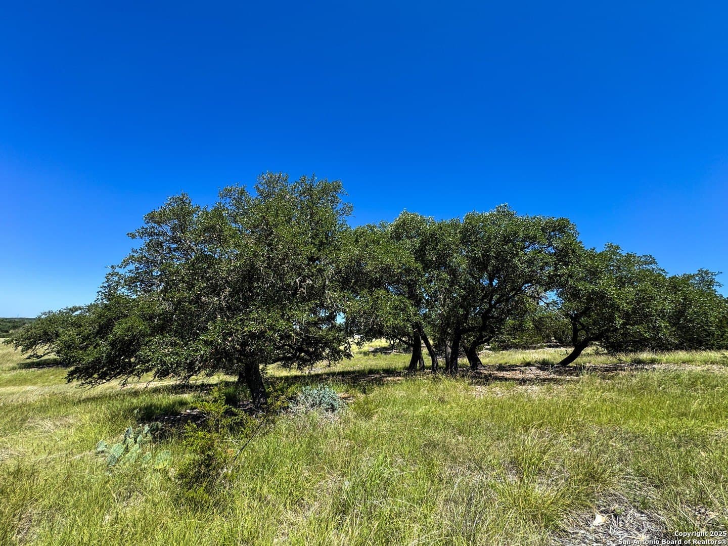 4.01 acres in Gillespie County - photo 8
