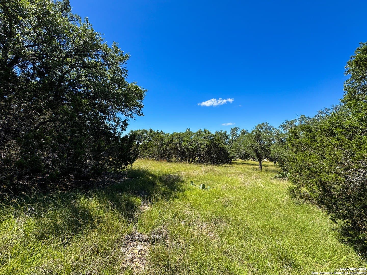 4.01 acres in Gillespie County - photo 9