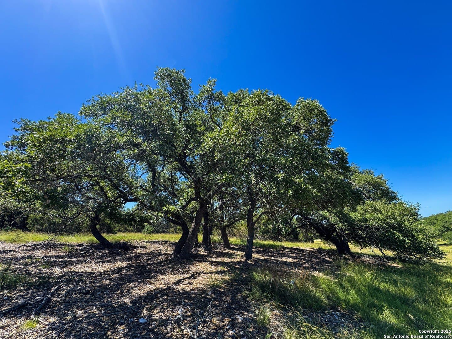 4.01 acres in Gillespie County - photo 6