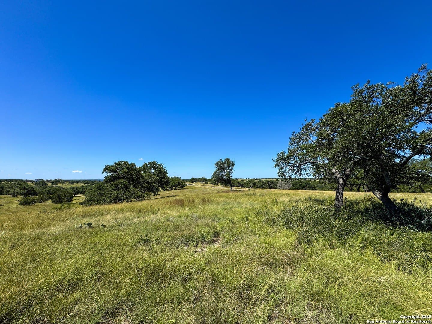 Loma Vista Ranch lot: 2