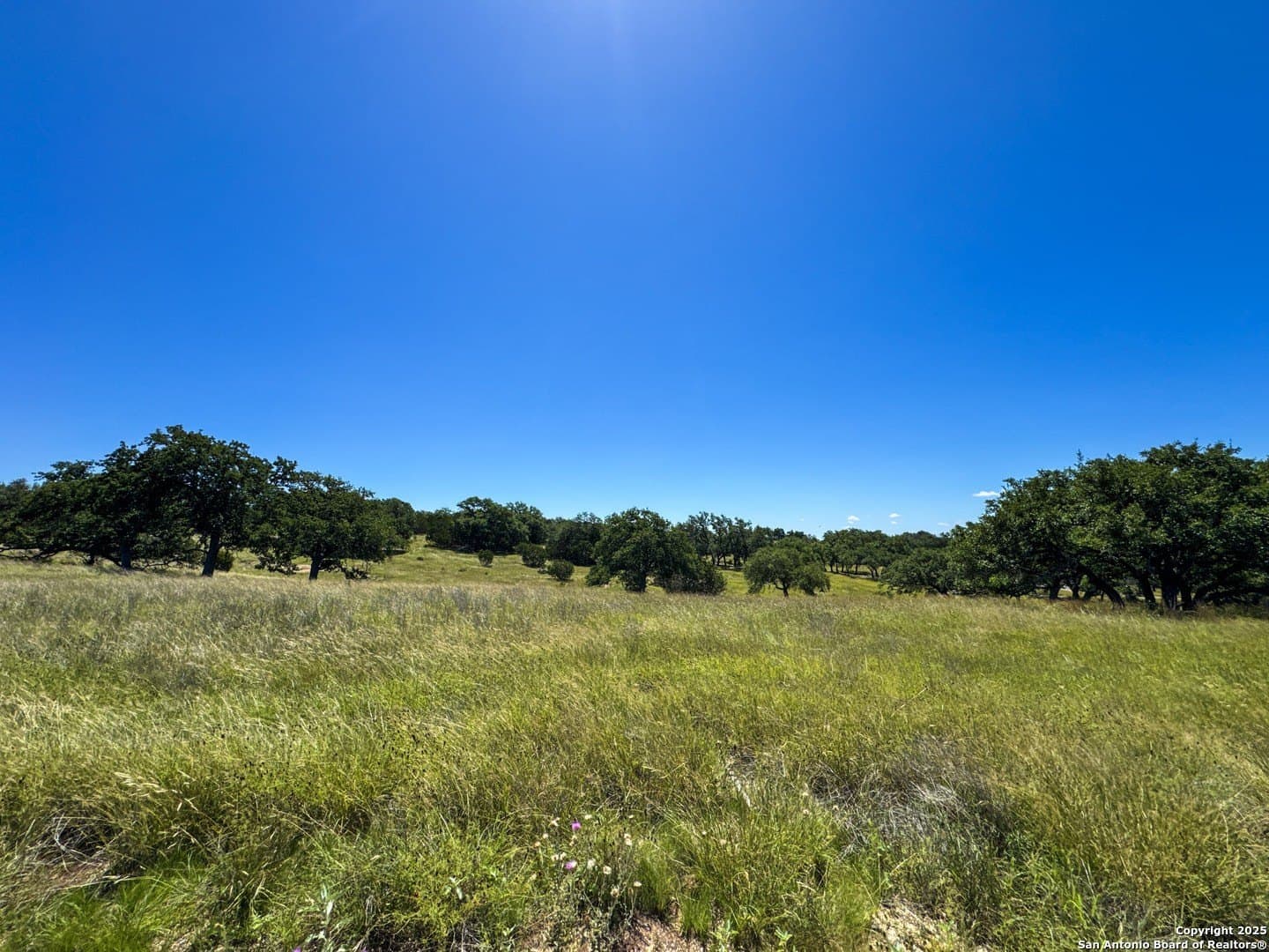 4.01 acres in Gillespie County - photo 18