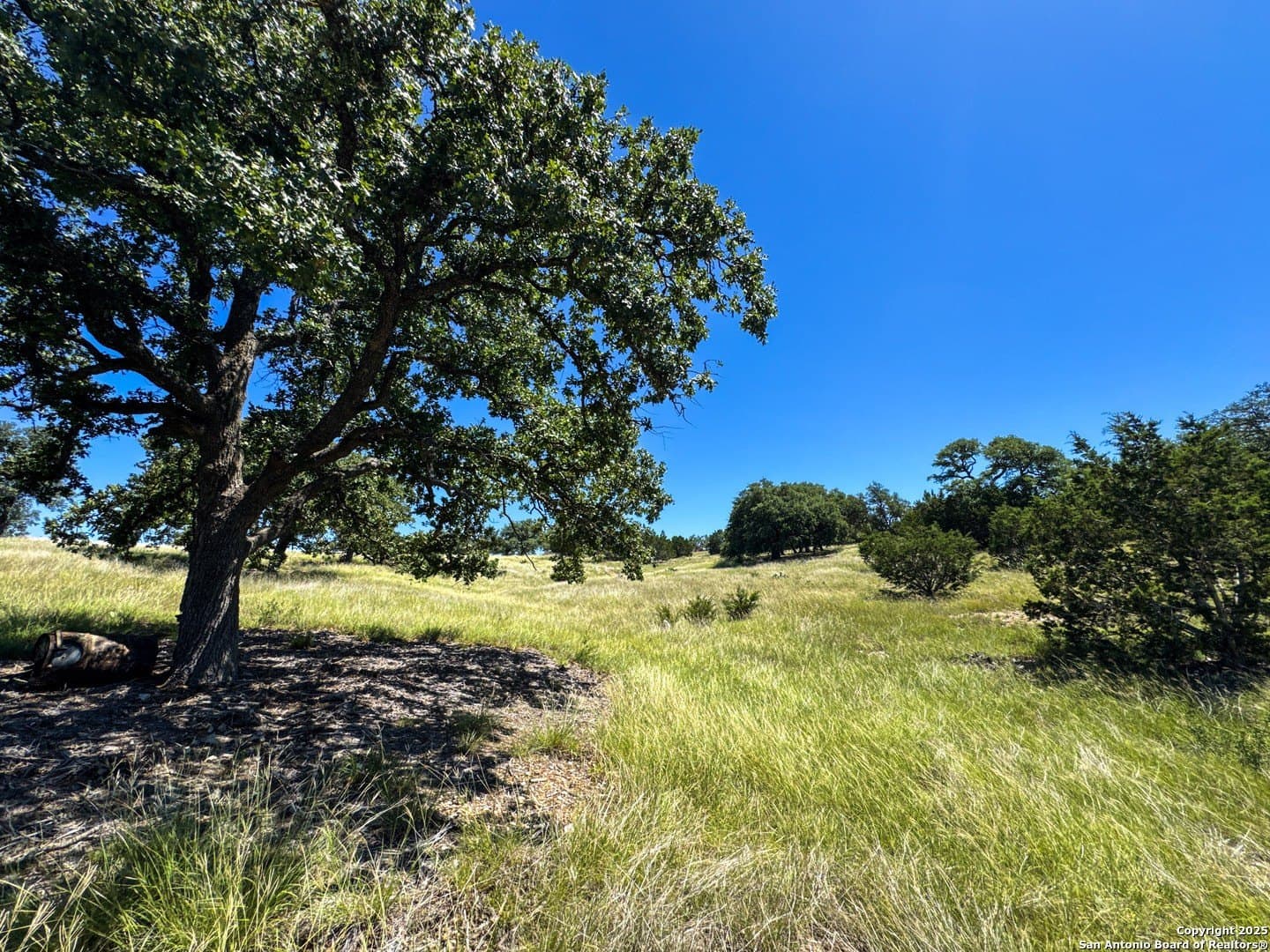 4.01 acres in Gillespie County - photo 16