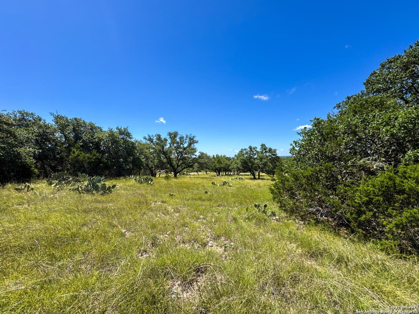 4.01 acres in Gillespie County - photo 11