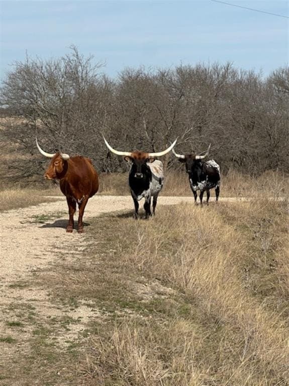 200 acres in Hill County - photo 33